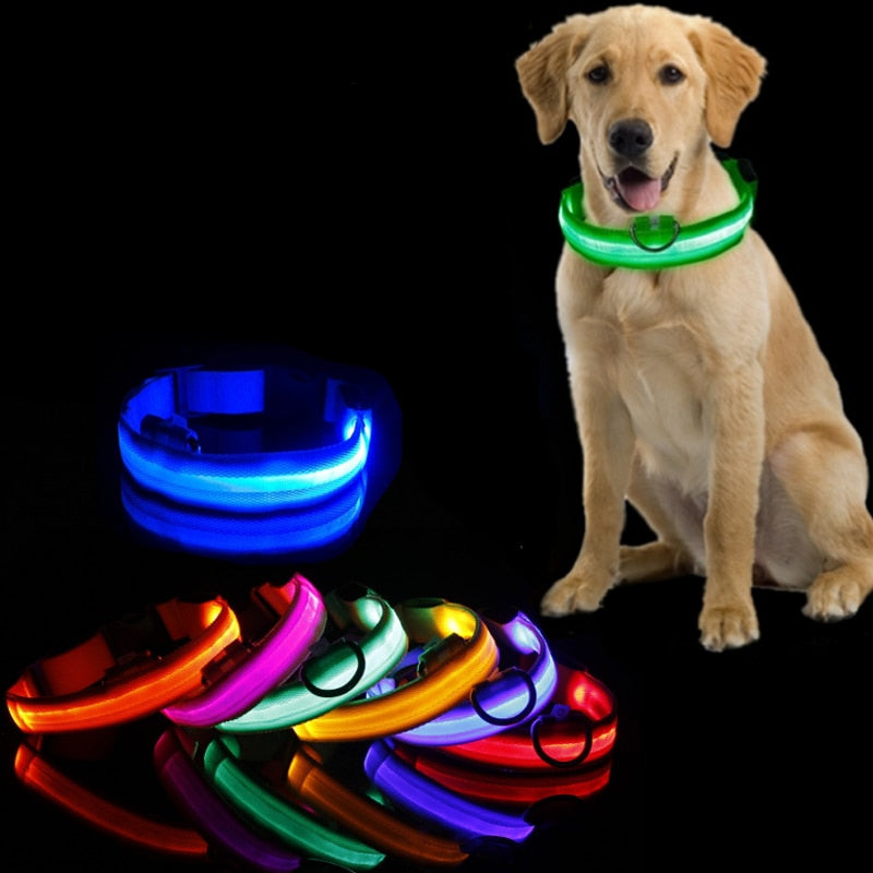 BrightPaws | LED Hundehalsband Licht