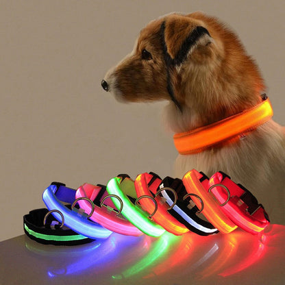 BrightPaws | LED Hundehalsband Licht