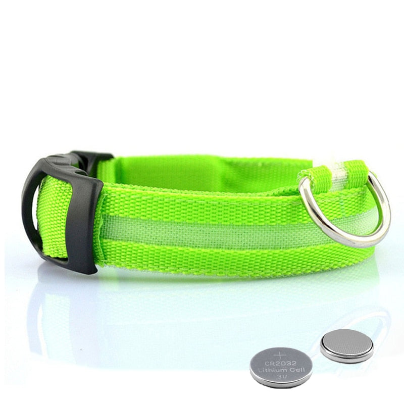 BrightPaws | LED Hundehalsband Licht