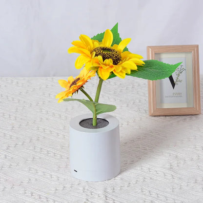 Sunflower Lamp | Verlicht je kamer met een betoverende gloed