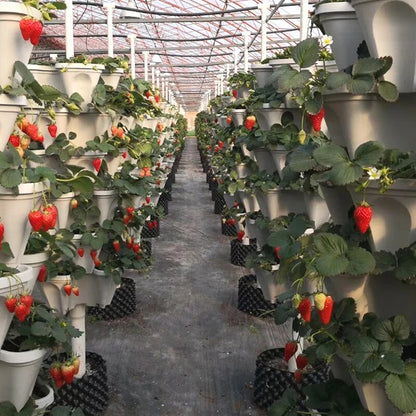 PlantTower | Meer Groeien op Minder Ruimte!