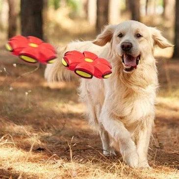 Ufofling™ | nooit uitgespeeld met deze frisbee bal! - campor.nl